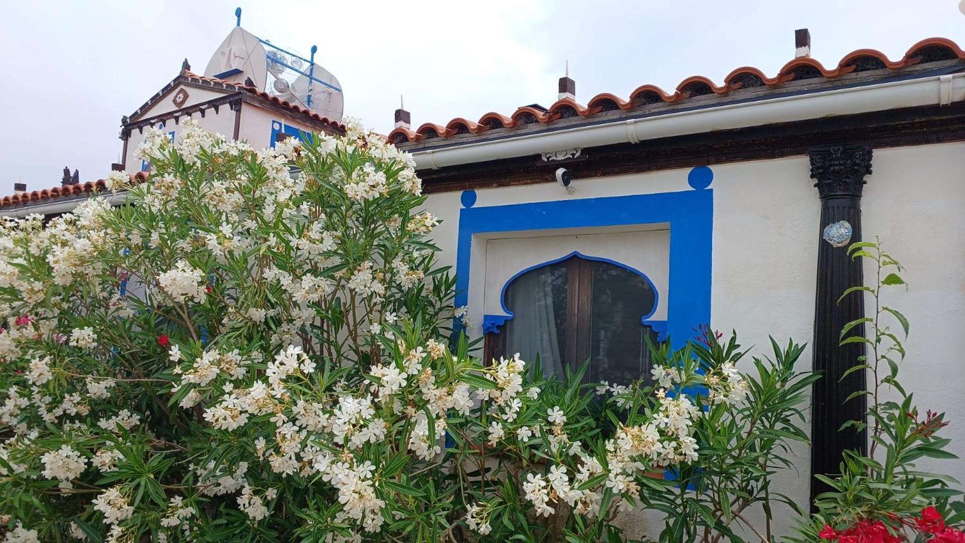 Art Villa Claudia L'Ametlla de Mar Bagian luar foto
